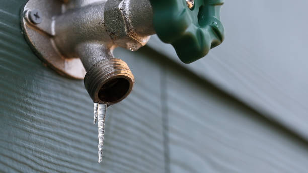 Best Water Heater Repair  in Comstock Park, MI